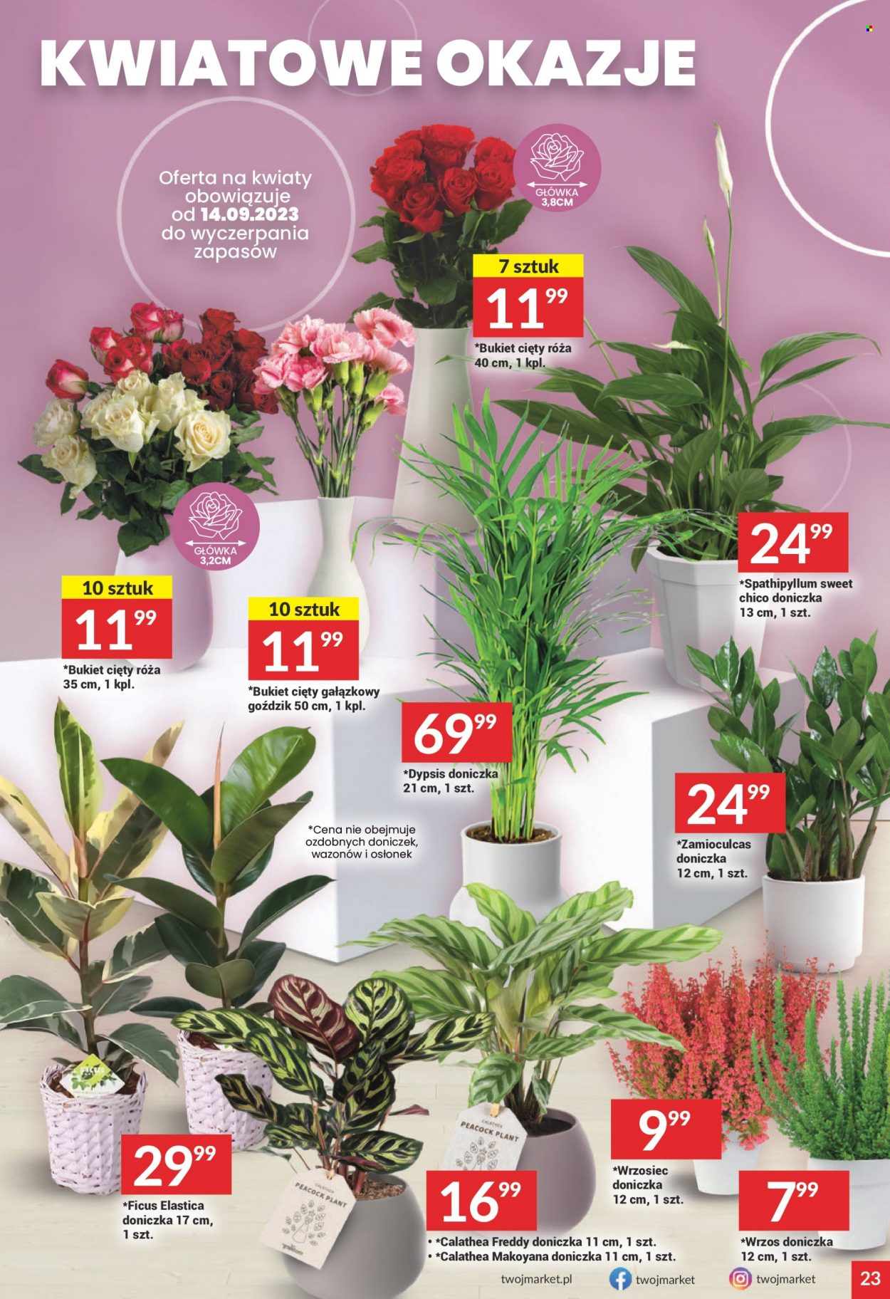 Gazetka Twój Market - 13.09.2023 - 19.09.2023. Strona 23