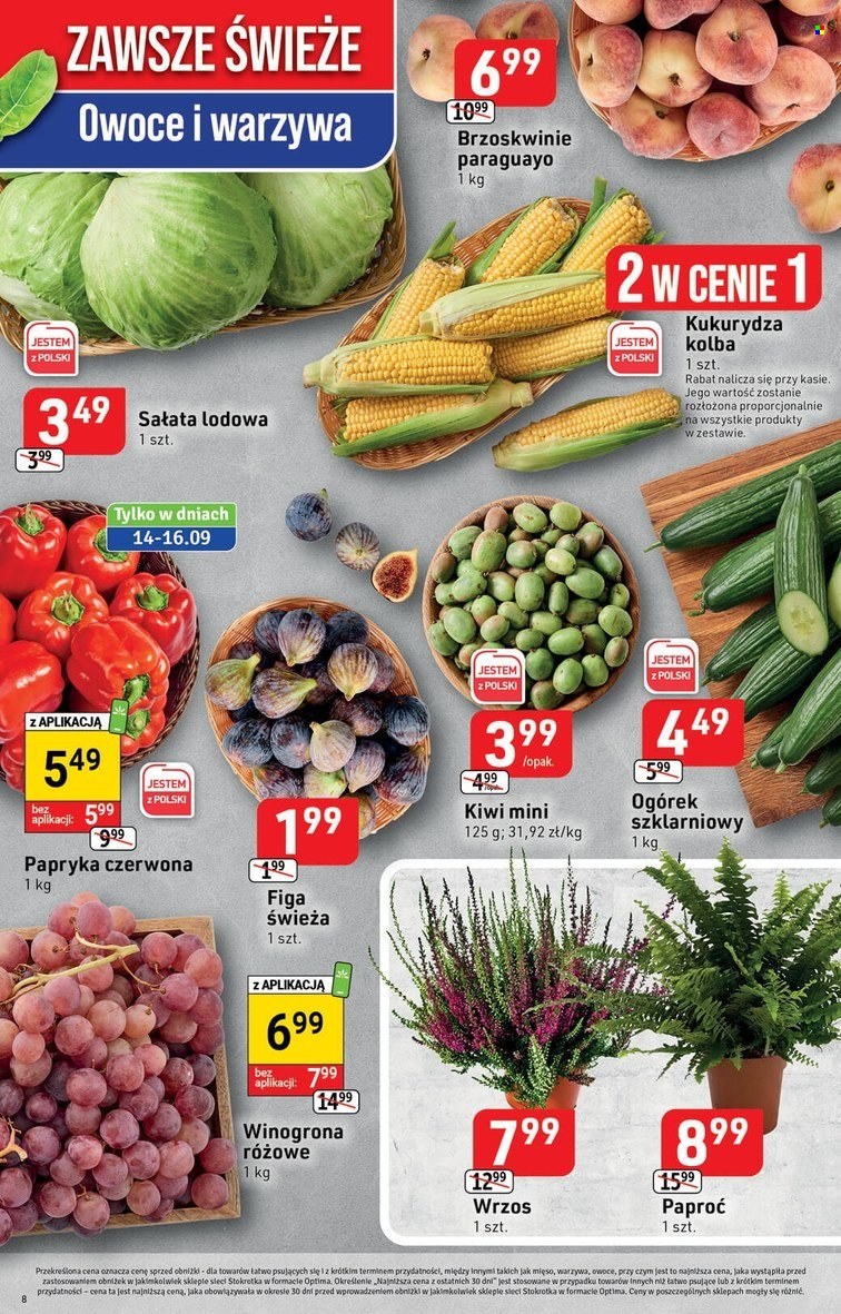 Gazetka Stokrotka Optima - 14.09.2023 - 20.09.2023. Strona 8