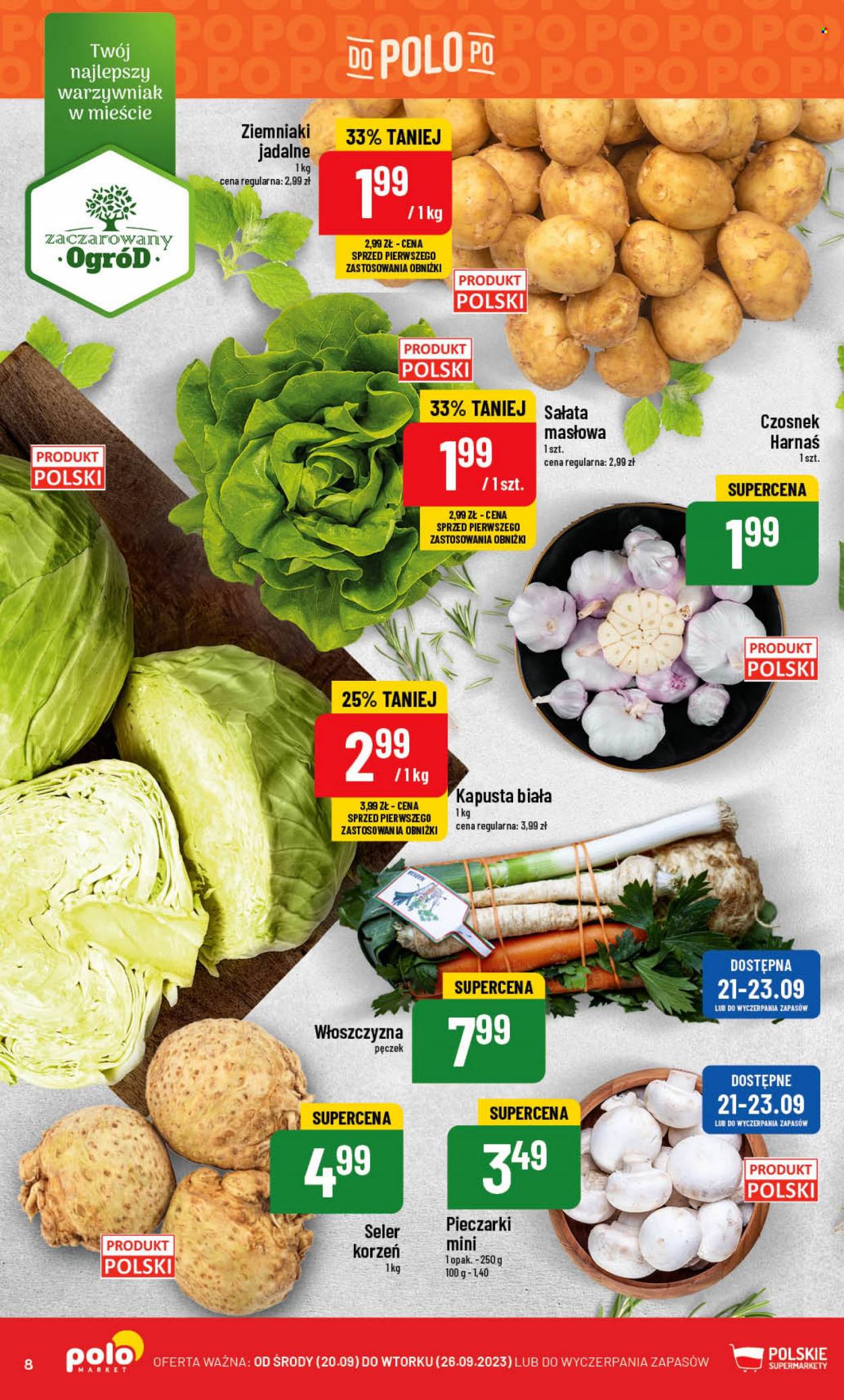 Gazetka Polomarket - 20.09.2023 - 26.09.2023. Strona 8