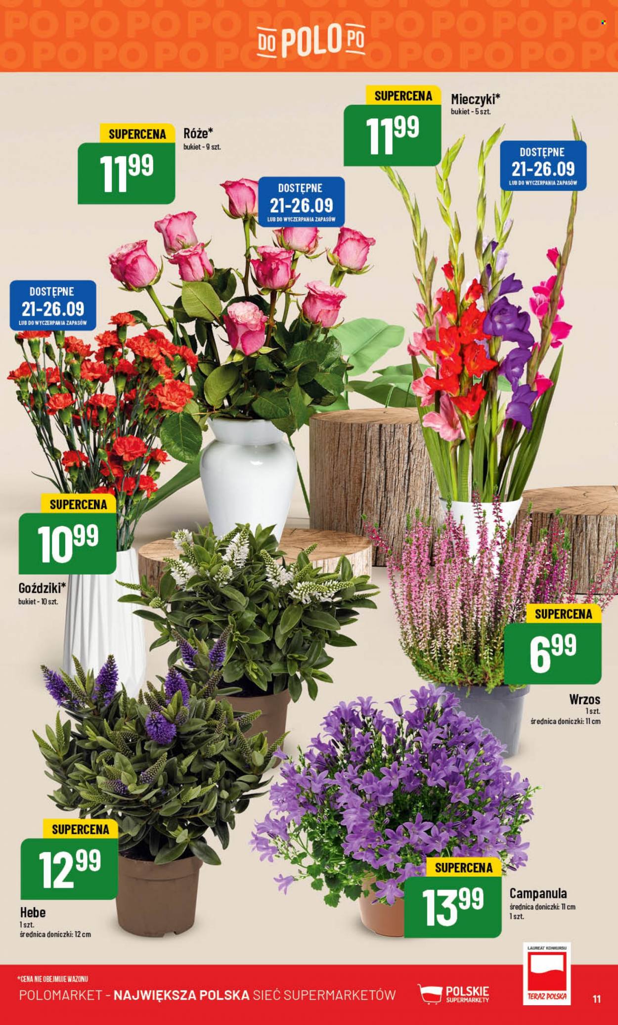 Gazetka Polomarket - 20.09.2023 - 26.09.2023. Strona 11