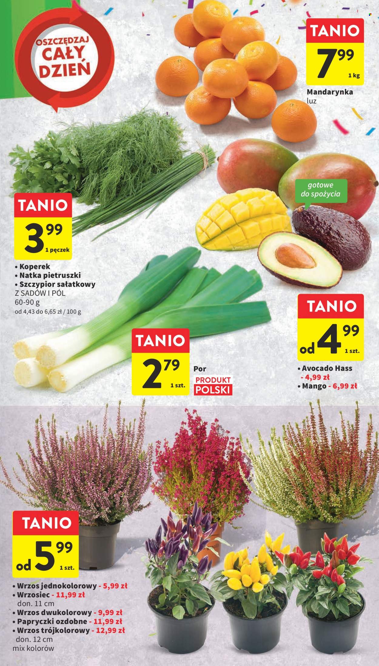 Gazetka Intermarché - 21.09.2023 - 27.09.2023. Strona 17