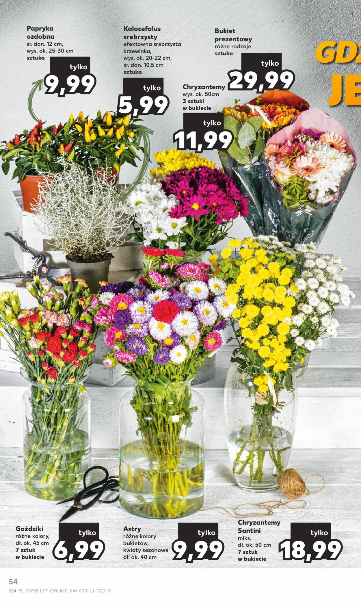 Gazetka Kaufland - 21.09.2023 - 27.09.2023. Strona 54