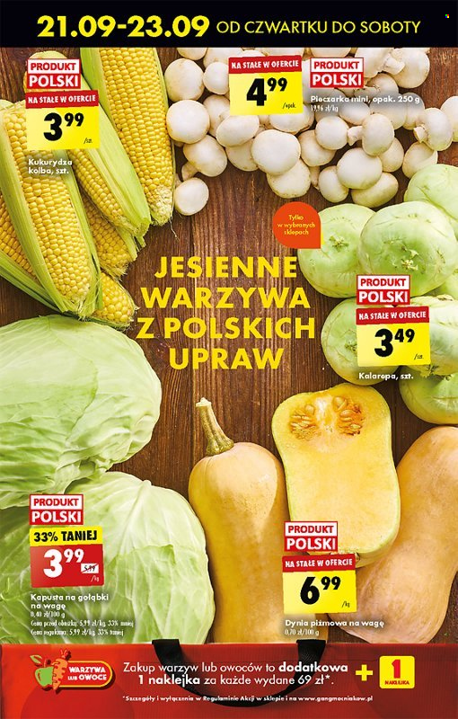 Gazetka Biedronka - 21.09.2023 - 27.09.2023. Strona 23