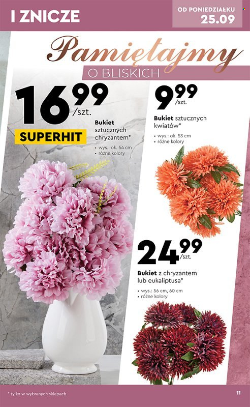 Gazetka Biedronka - 25.09.2023 - 8.10.2023. Strona 11