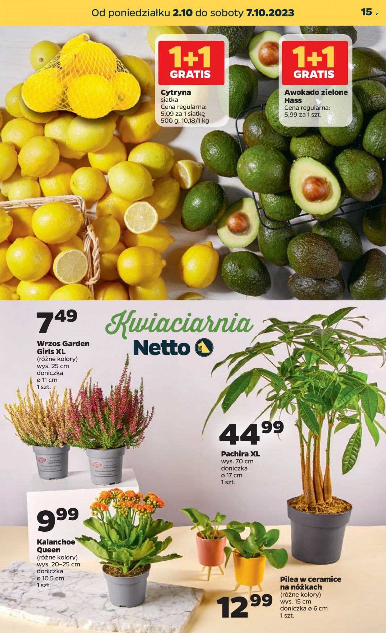Gazetka Netto - 2.10.2023 - 7.10.2023. Strona 15