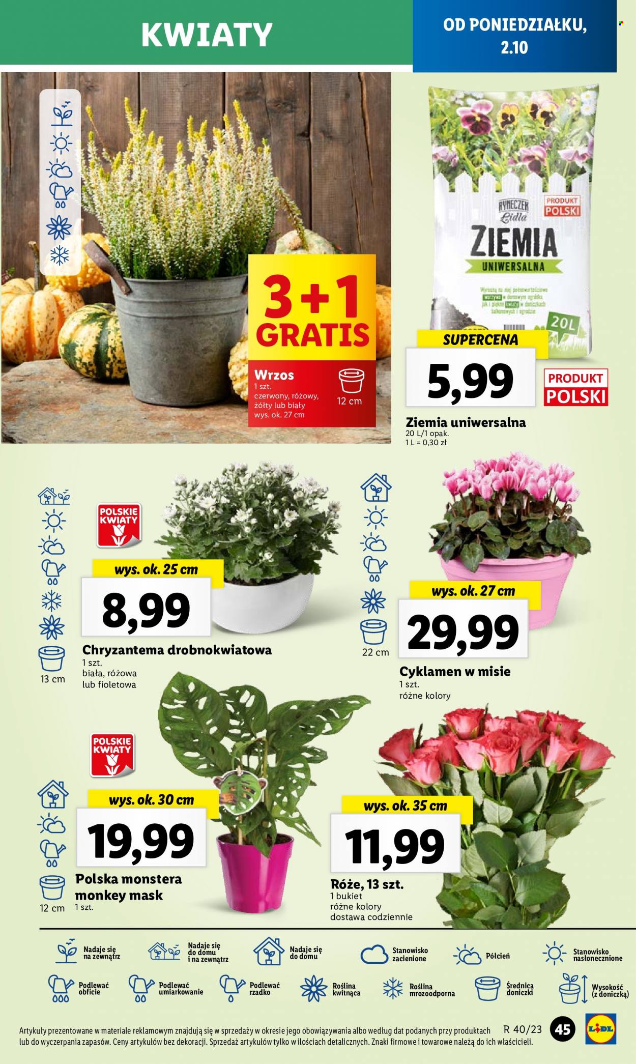 Gazetka Lidl - 2.10.2023 - 4.10.2023. Strona 53