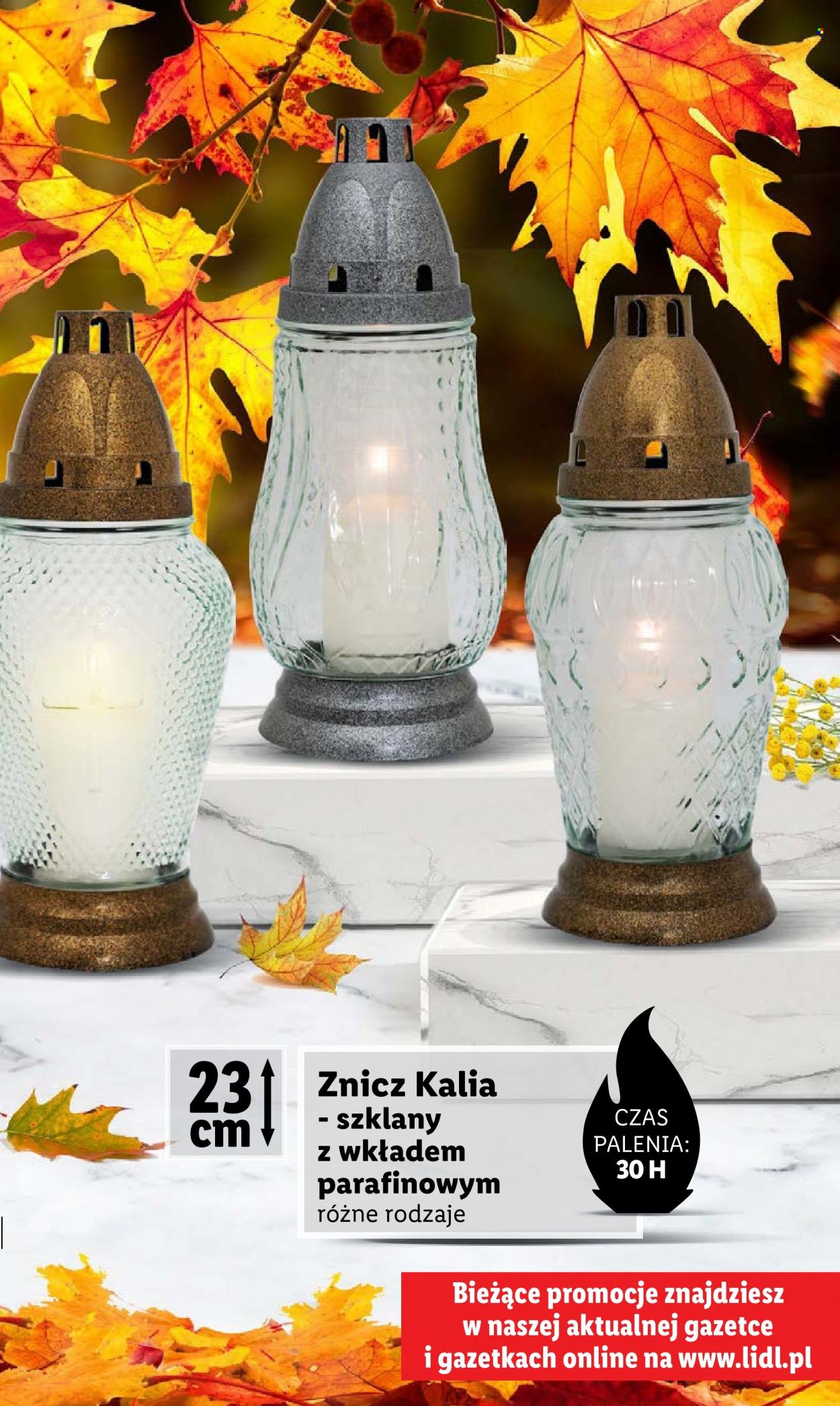 Gazetka Lidl. Strona 5