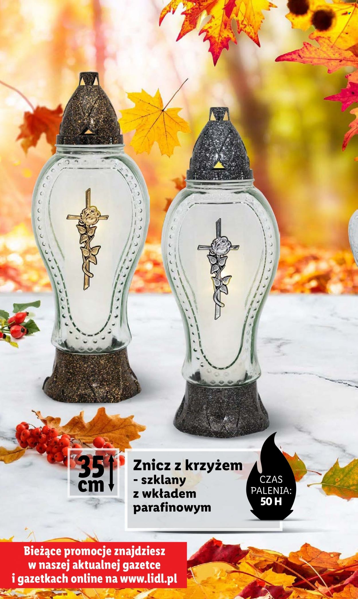 Gazetka Lidl. Strona 12