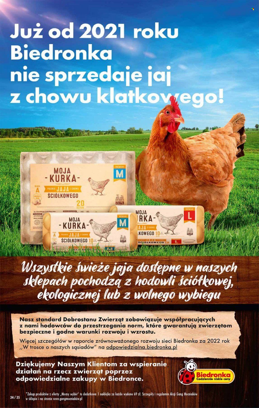 Gazetka Biedronka - 9.10.2023 - 14.10.2023. Strona 34