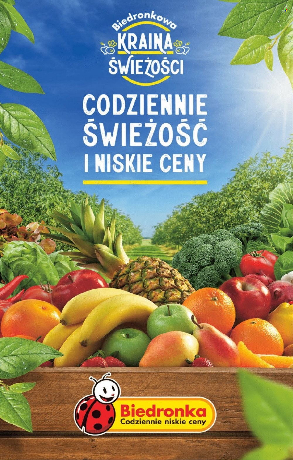 Gazetka Biedronka - 9.10.2023 - 14.10.2023. Strona 57