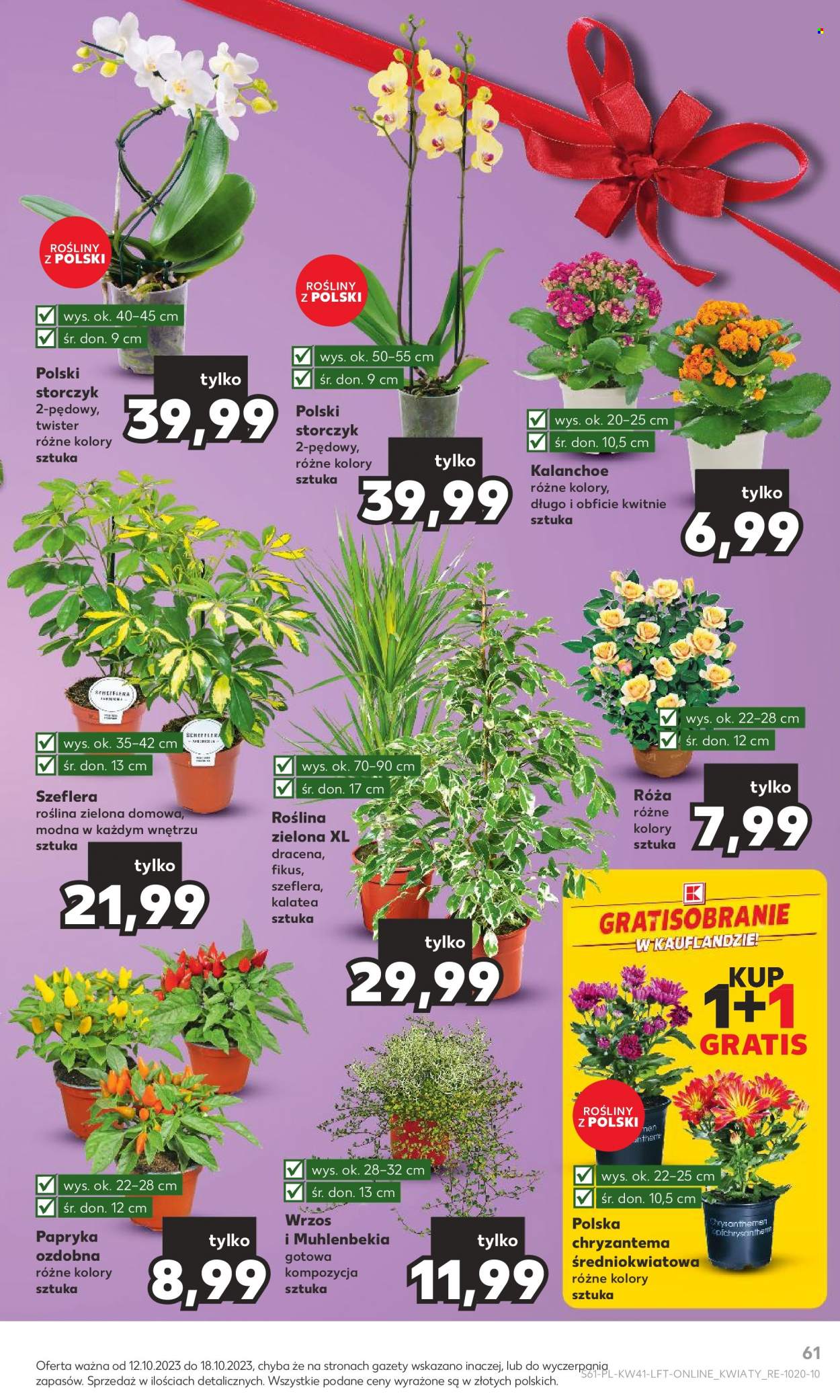 Gazetka Kaufland - 12.10.2023 - 18.10.2023. Strona 61