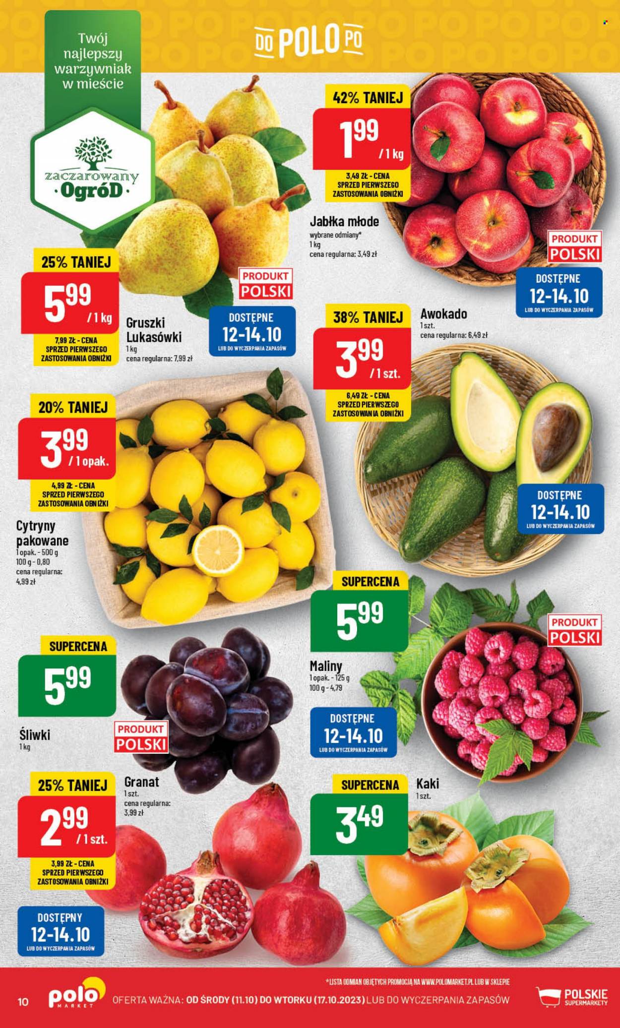 Gazetka Polomarket - 11.10.2023 - 17.10.2023. Strona 10