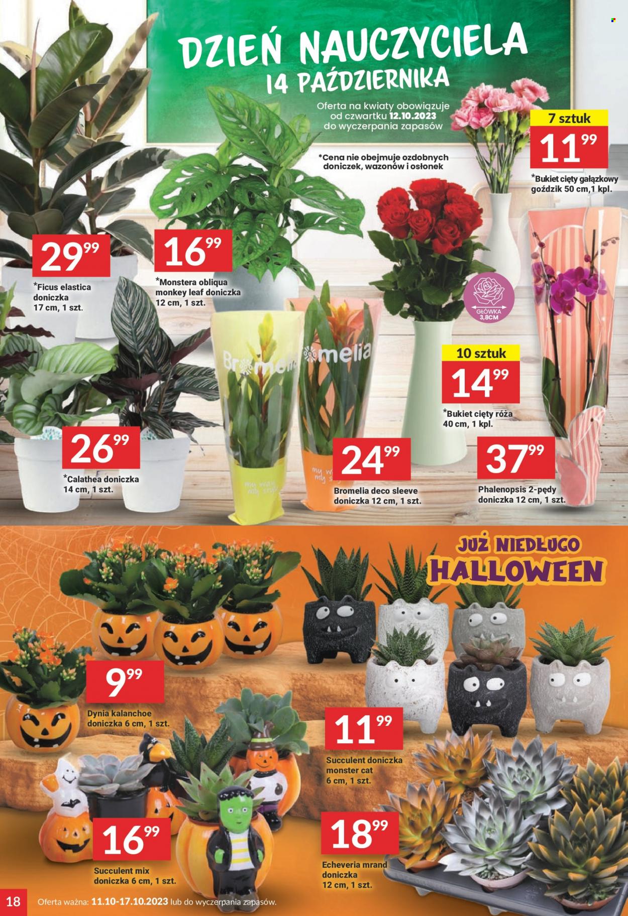 Gazetka Twój Market - 11.10.2023 - 17.10.2023. Strona 18