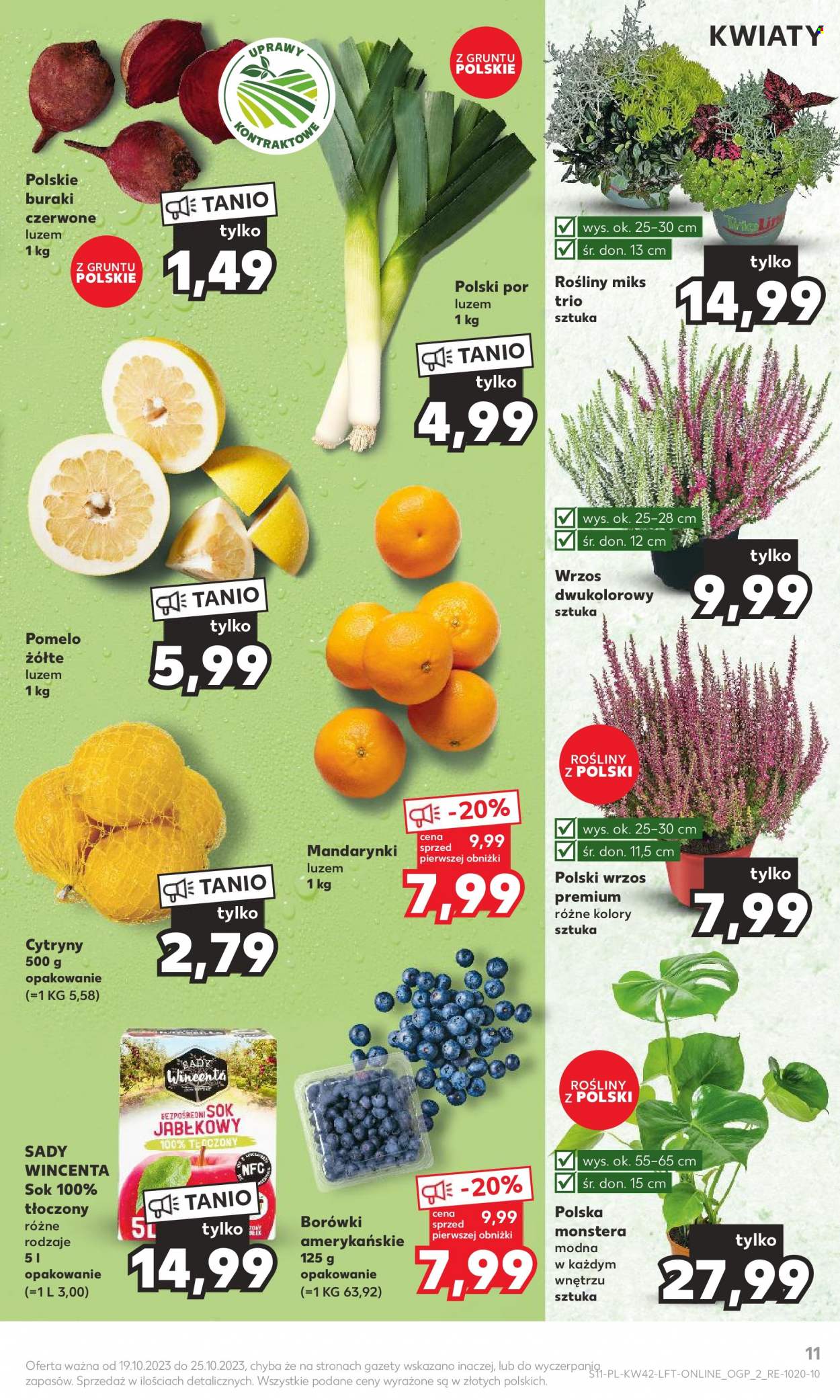 Gazetka Kaufland - 19.10.2023 - 25.10.2023. Strona 11
