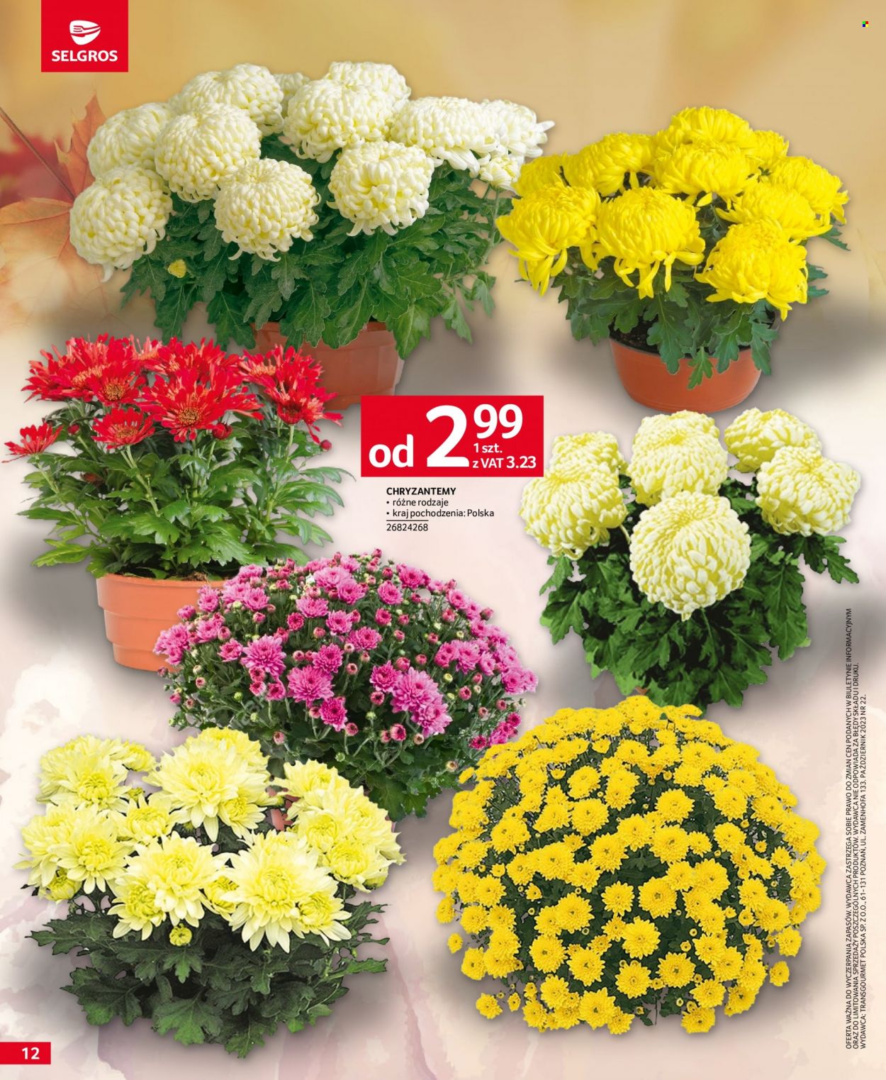 Gazetka Selgros - 19.10.2023 - 31.10.2023. Strona 12