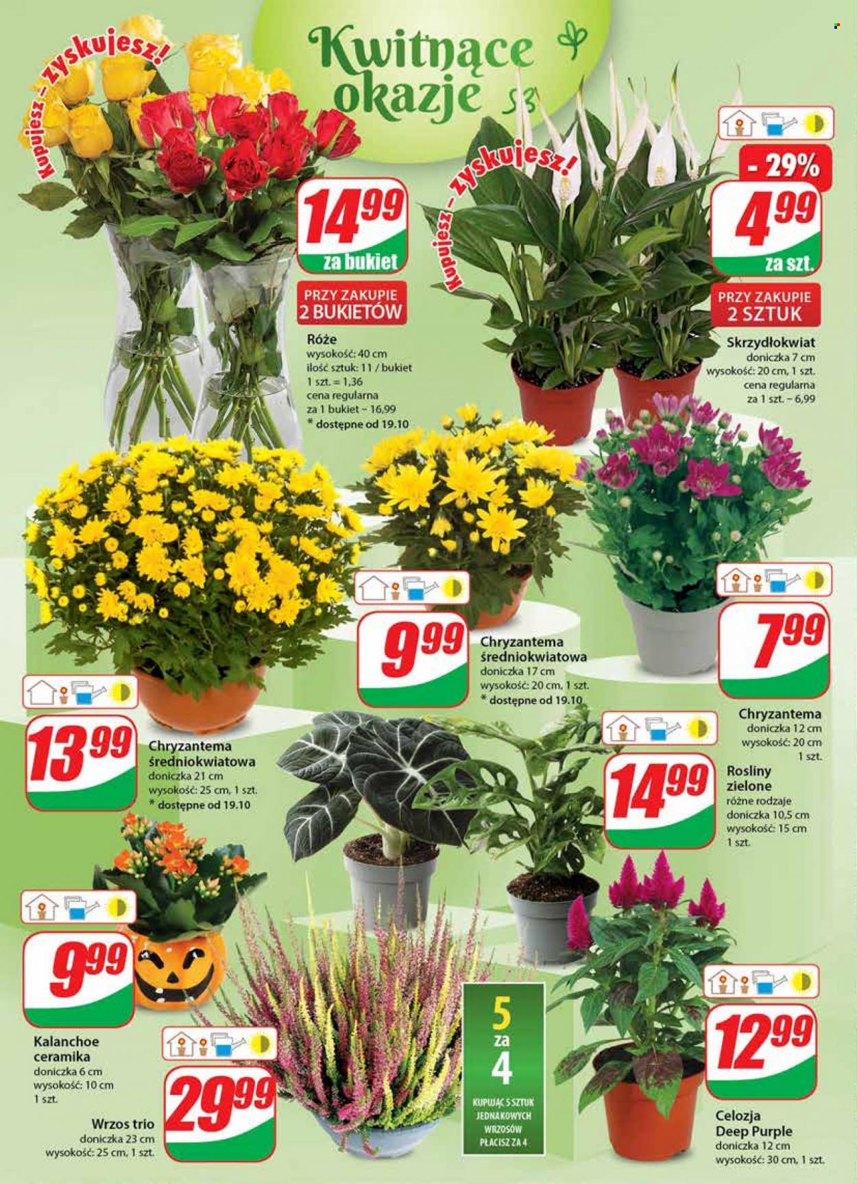 Gazetka Dino - 18.10.2023 - 24.10.2023. Strona 18
