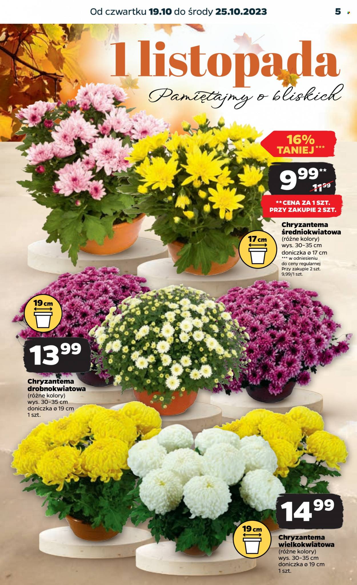 Gazetka Netto - 19.10.2023 - 25.10.2023. Strona 5