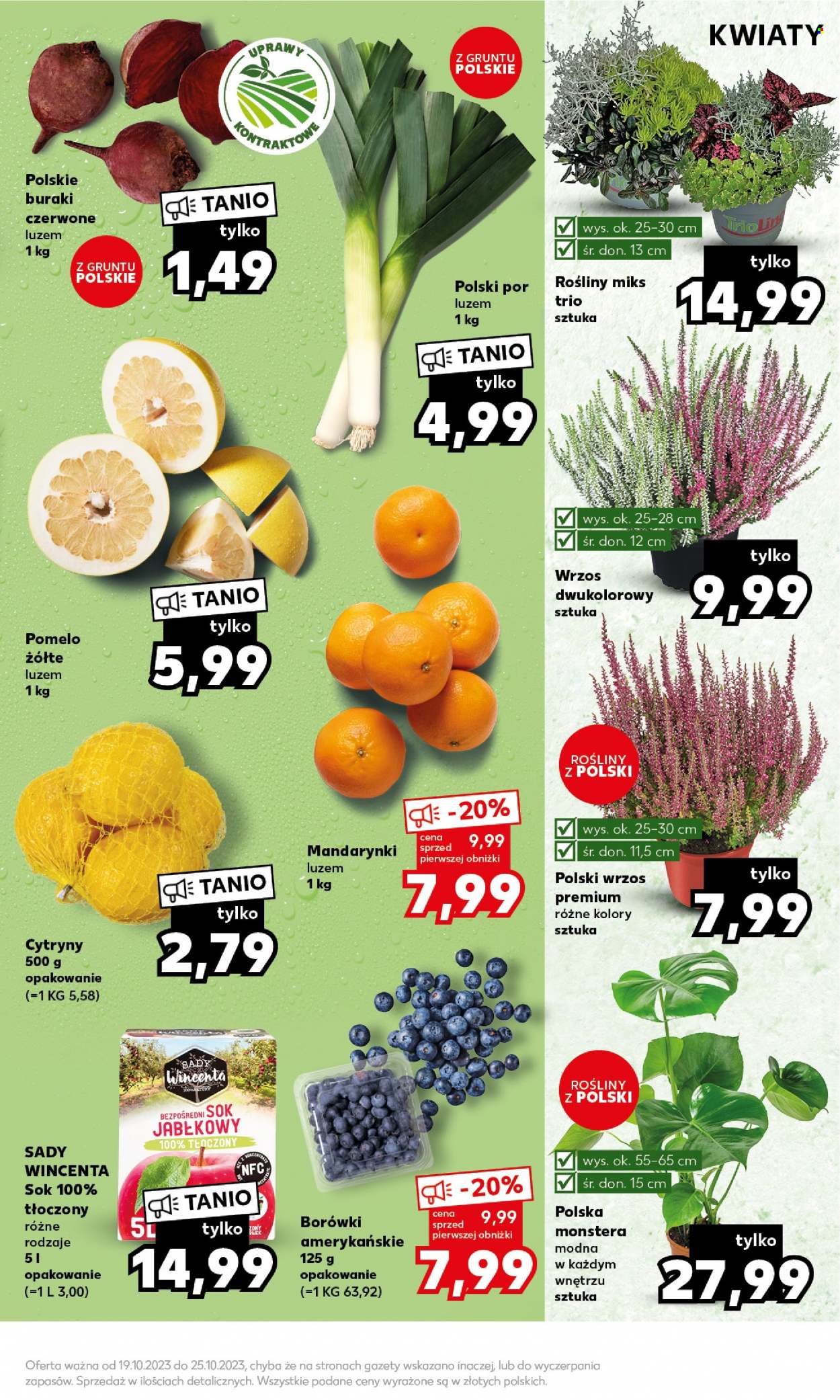 Gazetka Kaufland - 23.10.2023 - 25.10.2023. Strona 9