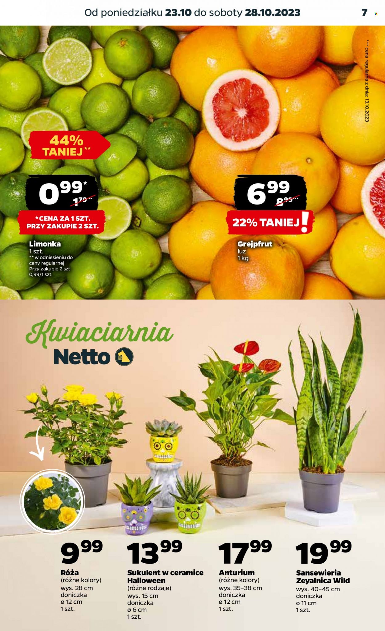 Gazetka Netto - 23.10.2023 - 28.10.2023. Strona 7