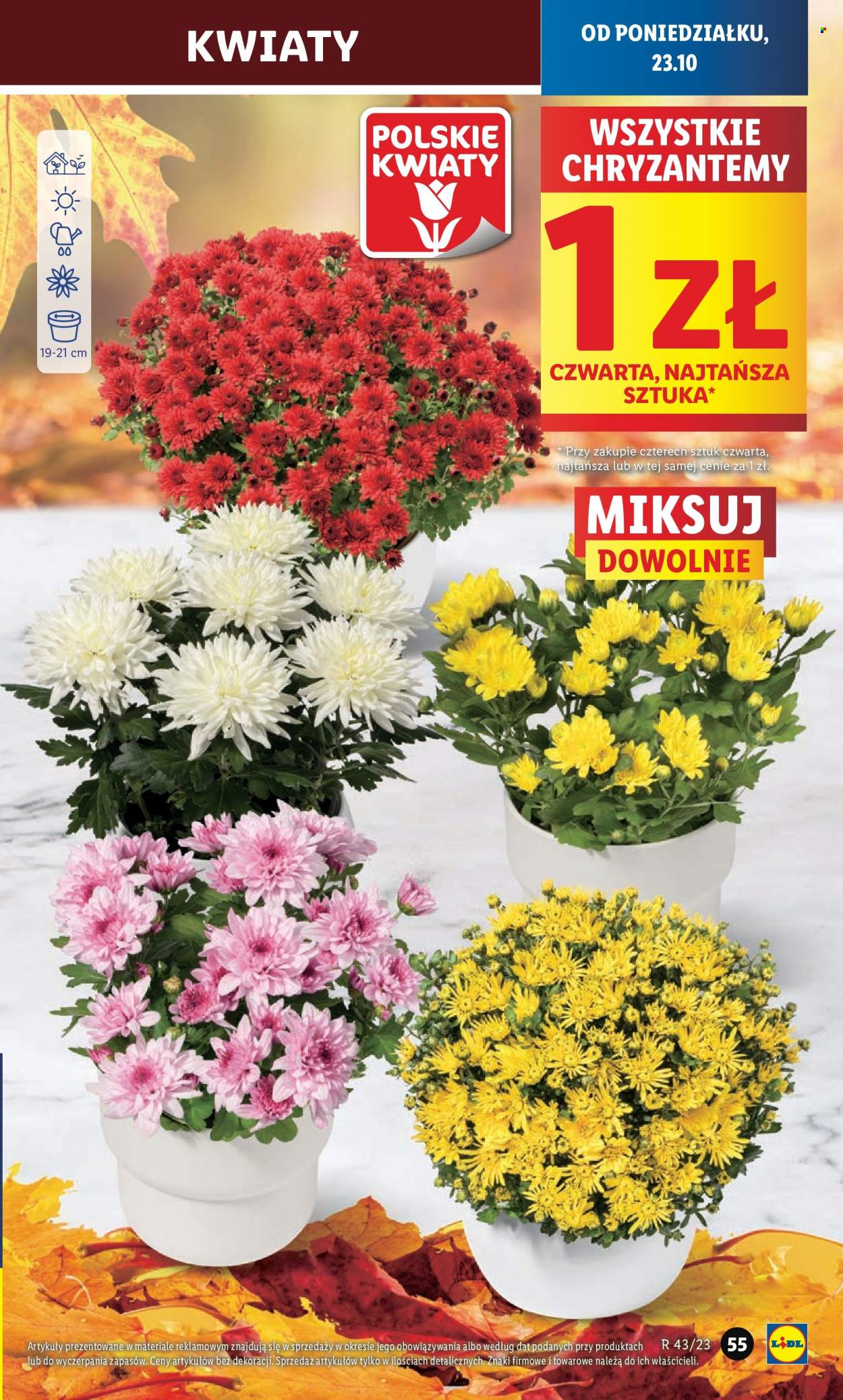 Gazetka Lidl - 23.10.2023 - 25.10.2023. Strona 59