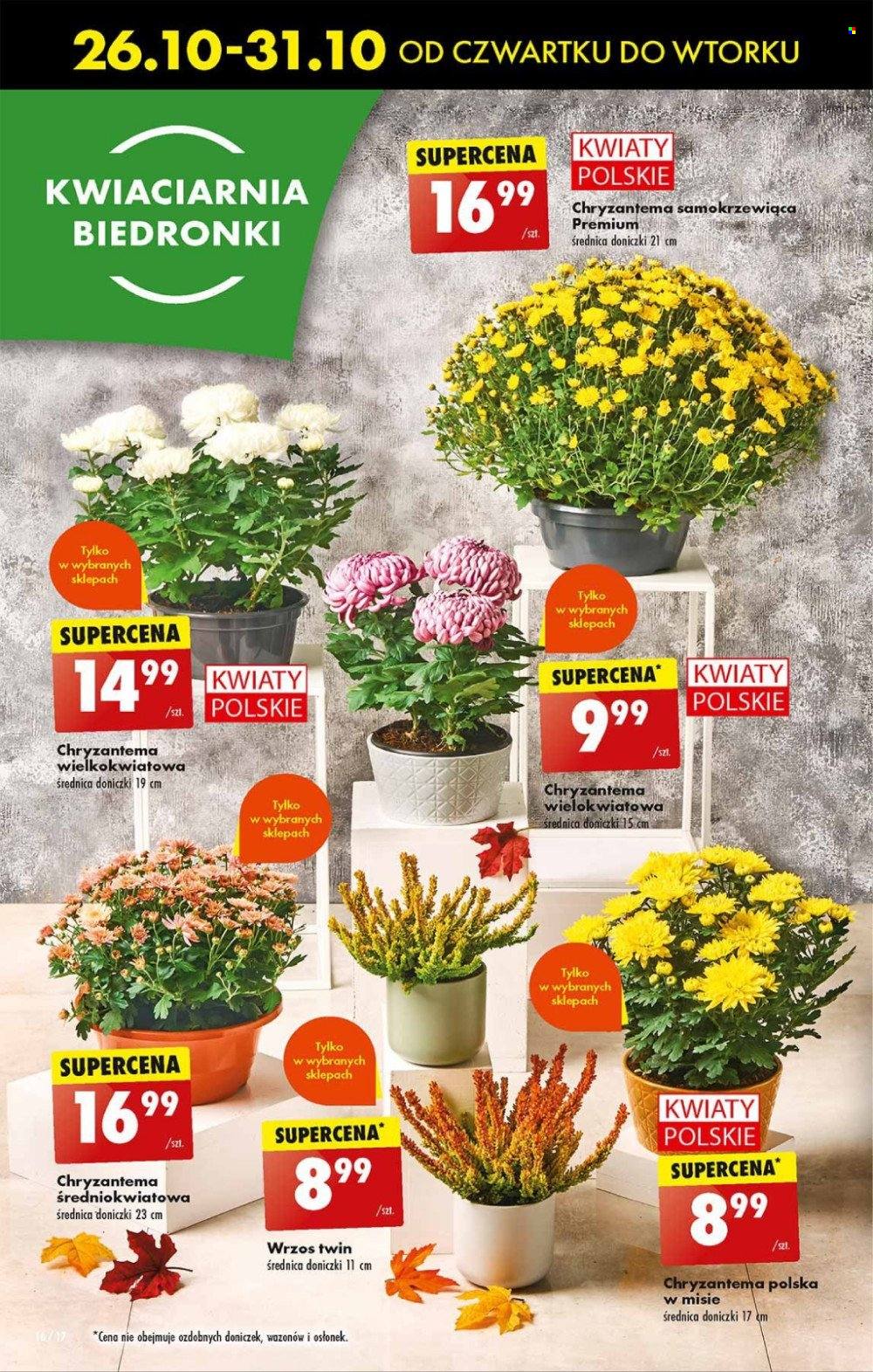 Gazetka Biedronka - 26.10.2023 - 31.10.2023. Strona 16