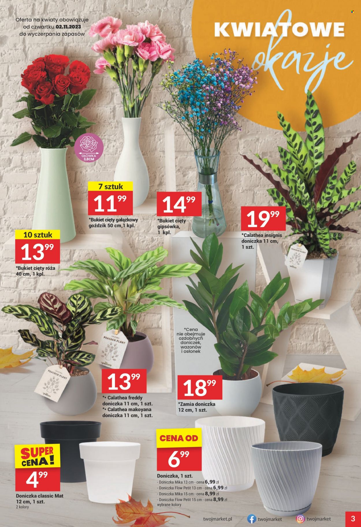 Gazetka Twój Market - 2.11.2023 - 7.11.2023. Strona 3