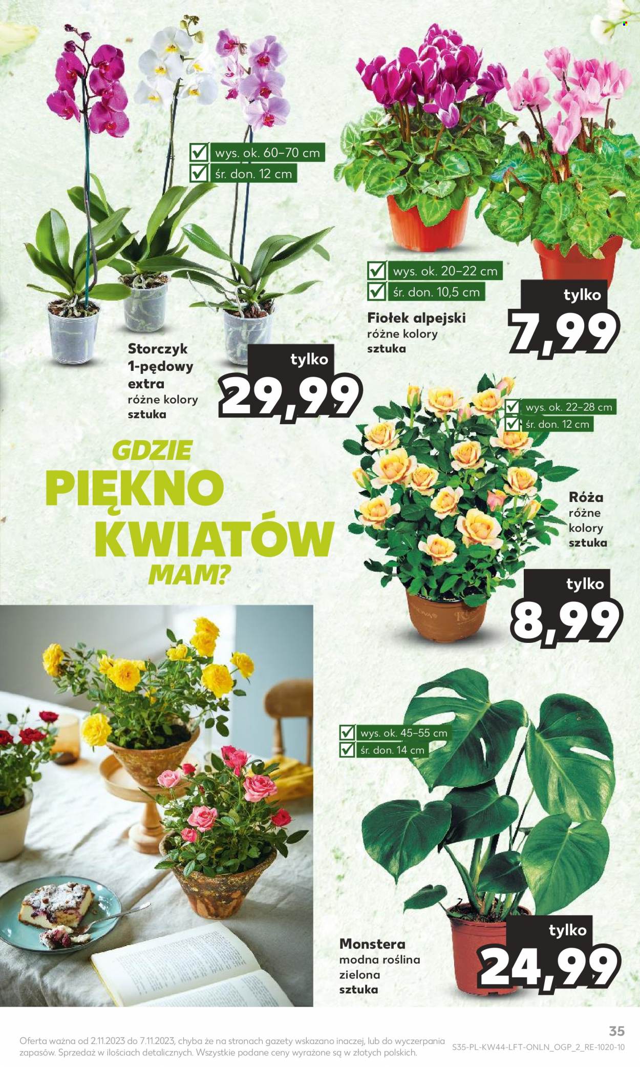 Gazetka Kaufland - 2.11.2023 - 7.11.2023. Strona 35