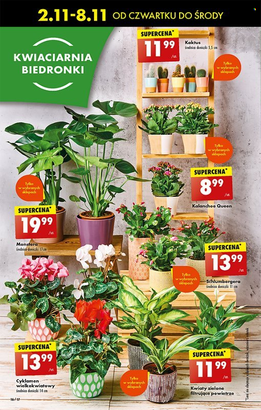 Gazetka Biedronka - 2.11.2023 - 8.11.2023. Strona 16