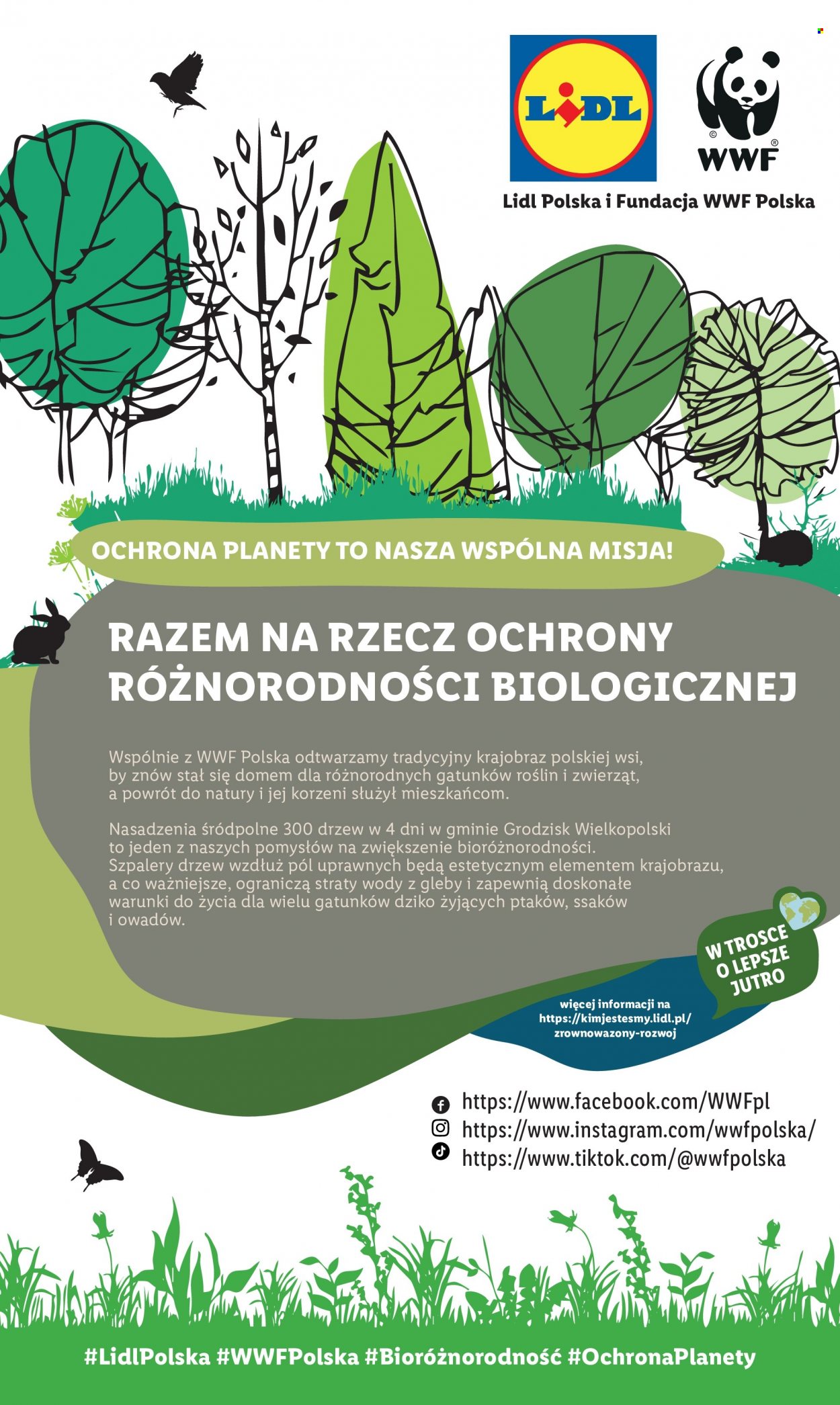 Gazetka Lidl - 13.11.2023 - 18.11.2023. Strona 59