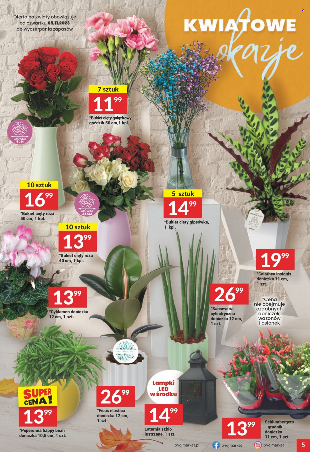 Gazetka Twój Market - 8.11.2023 - 14.11.2023. Strona 5