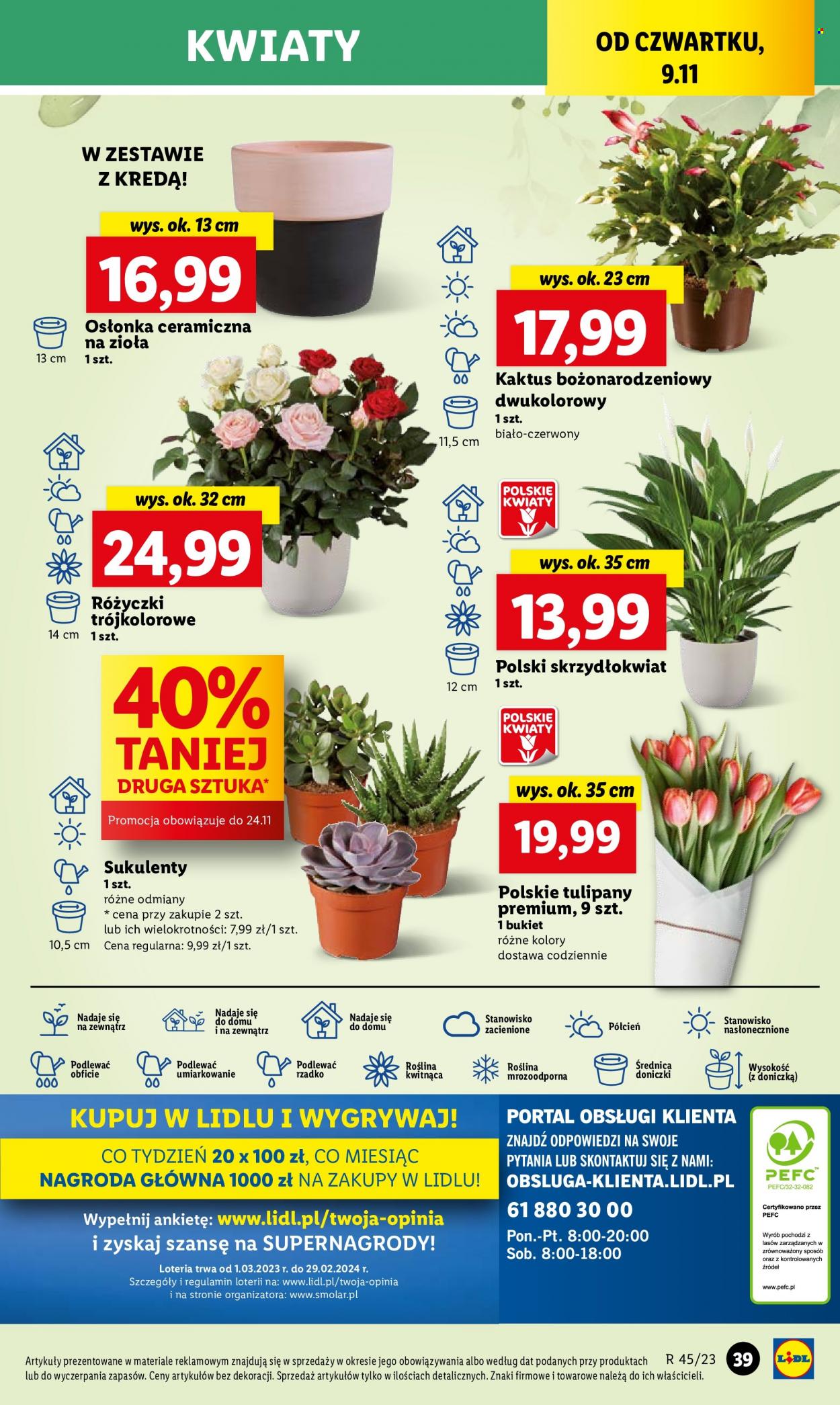 Gazetka Lidl - 9.11.2023 - 10.11.2023. Strona 55