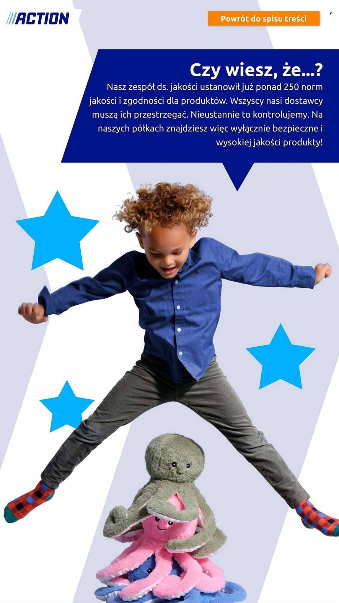 Gazetka Action - 8.11.2023 - 14.11.2023. Strona 17