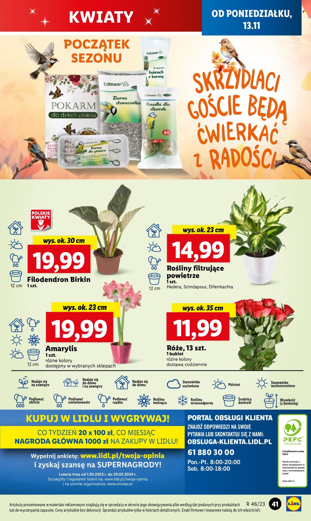Gazetka Lidl - 13.11.2023 - 15.11.2023. Strona 57