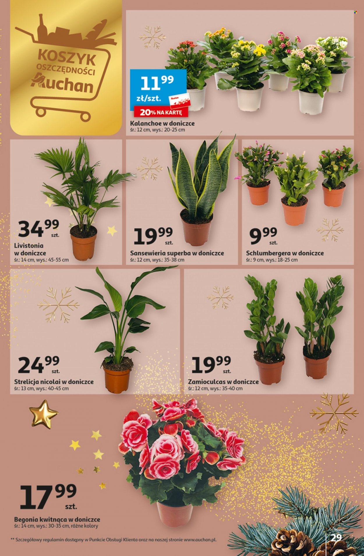 Gazetka Auchan - 16.11.2023 - 22.11.2023. Strona 29