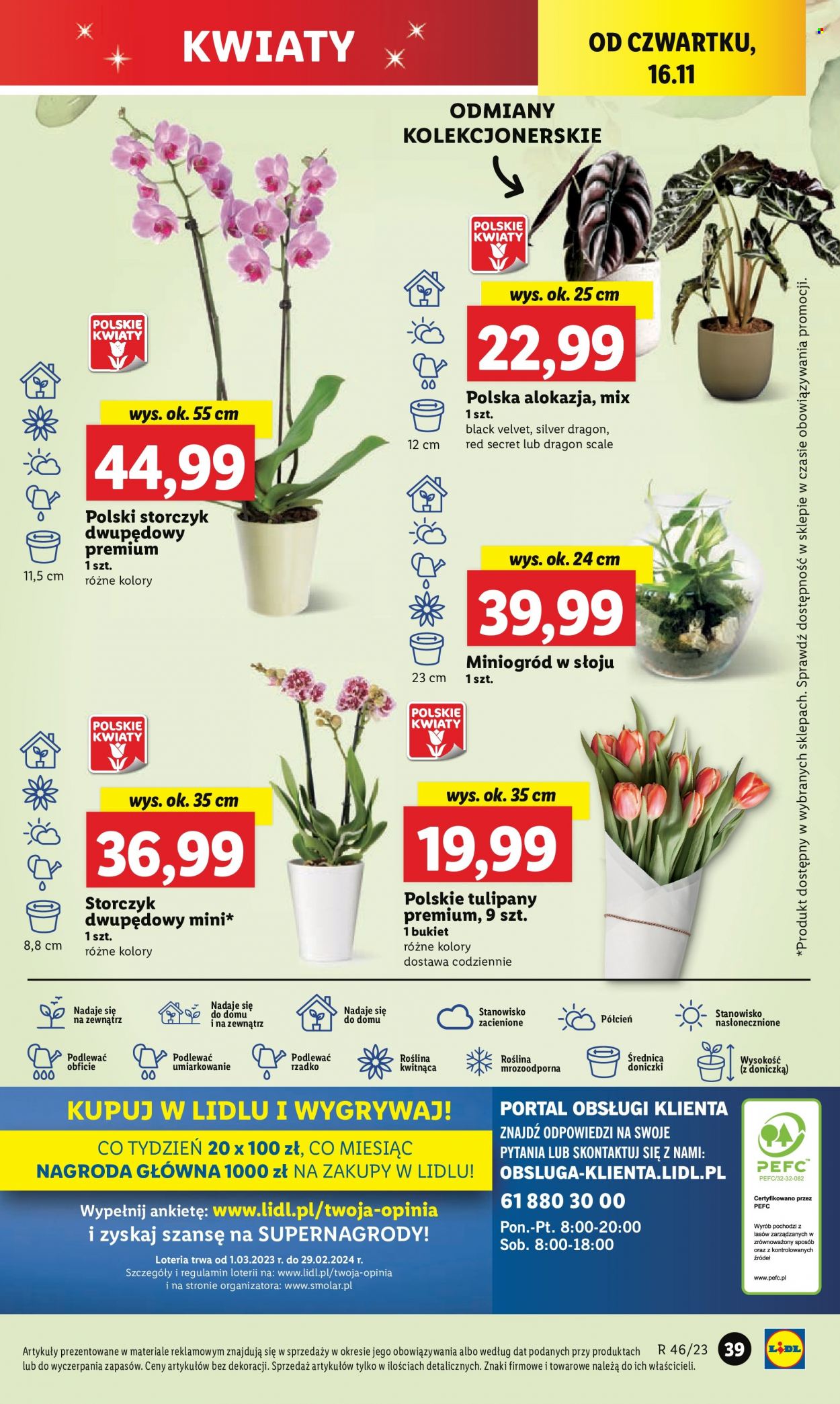 Gazetka Lidl - 16.11.2023 - 18.11.2023. Strona 53