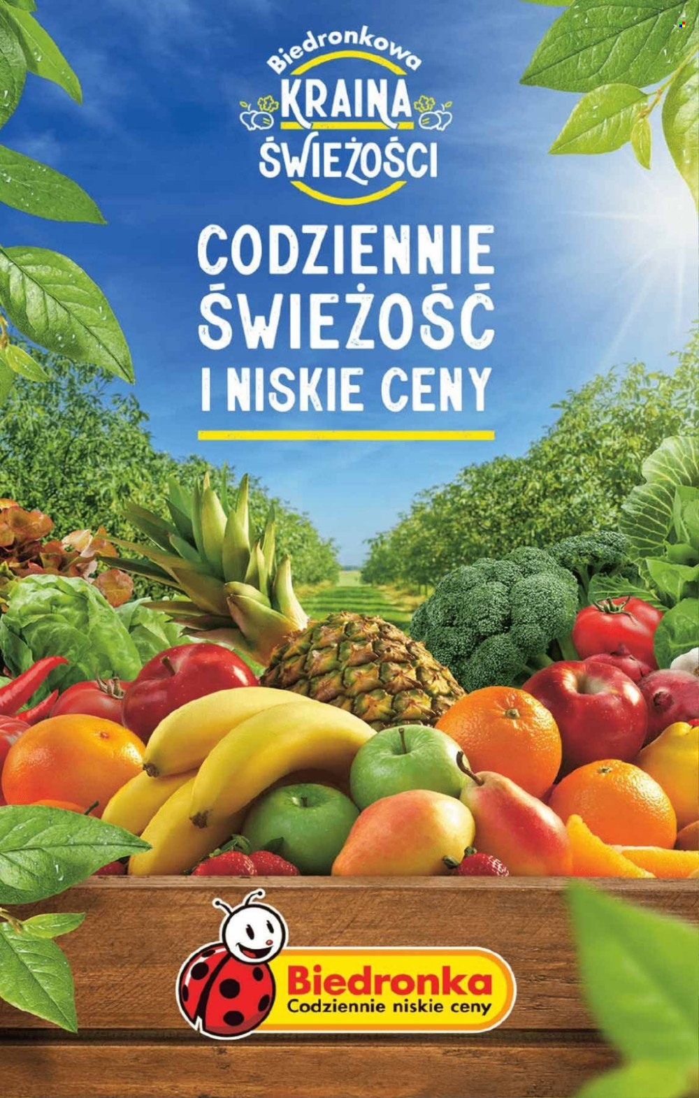 Gazetka Biedronka - 16.11.2023 - 22.11.2023. Strona 16