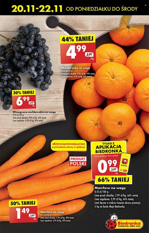 Gazetka Biedronka - 20.11.2023 - 25.11.2023. Strona 21