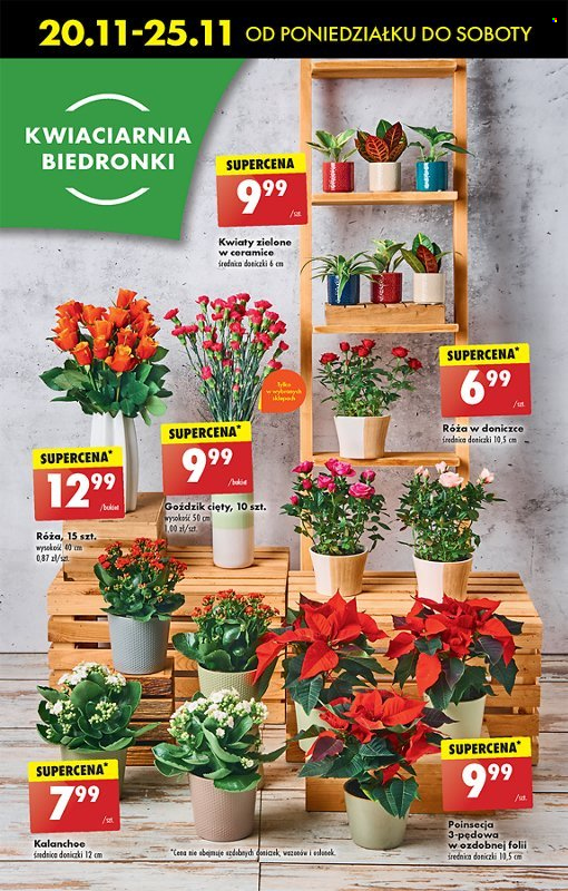 Gazetka Biedronka - 20.11.2023 - 25.11.2023. Strona 63