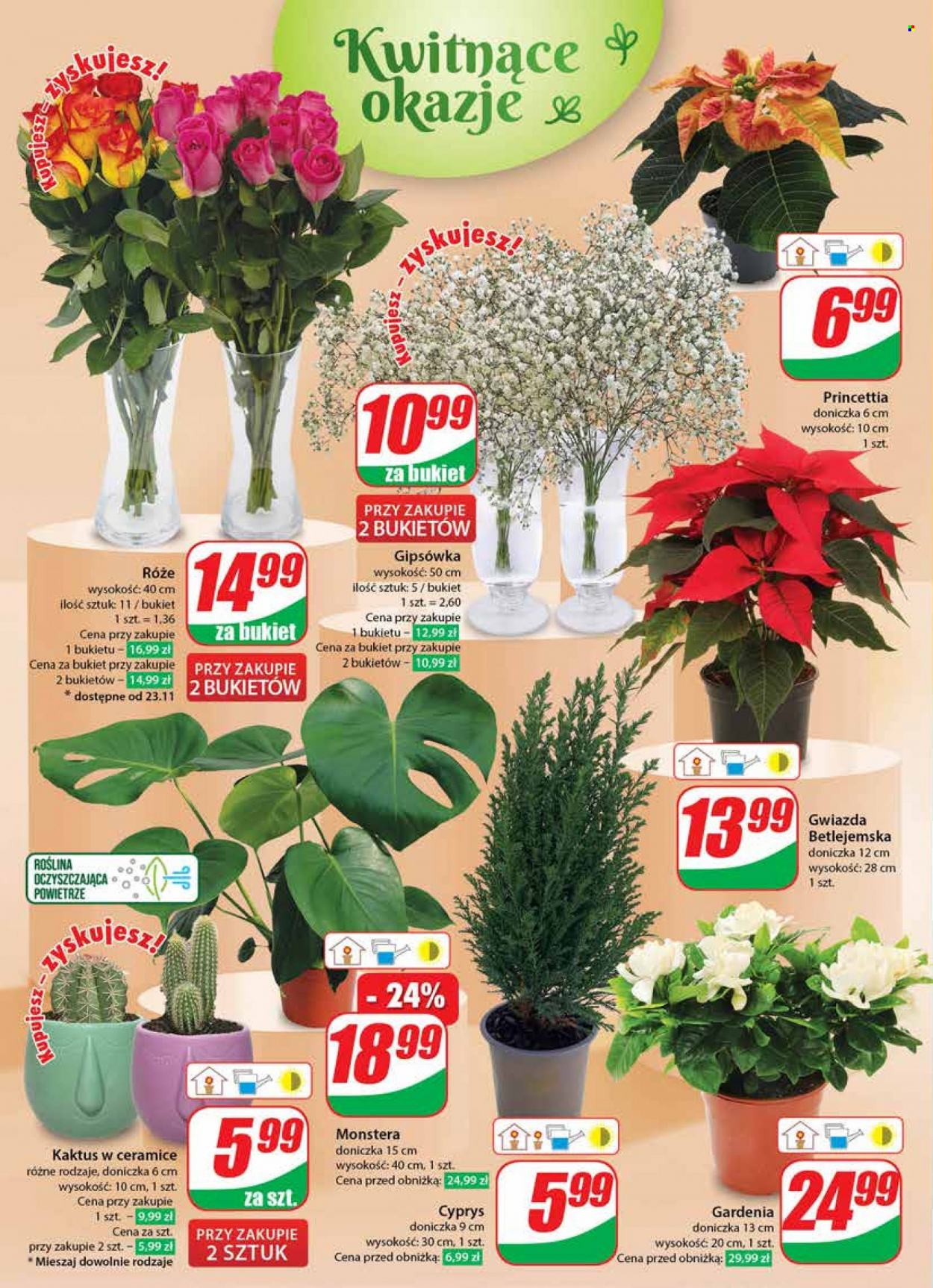Gazetka Dino - 22.11.2023 - 28.11.2023. Strona 22