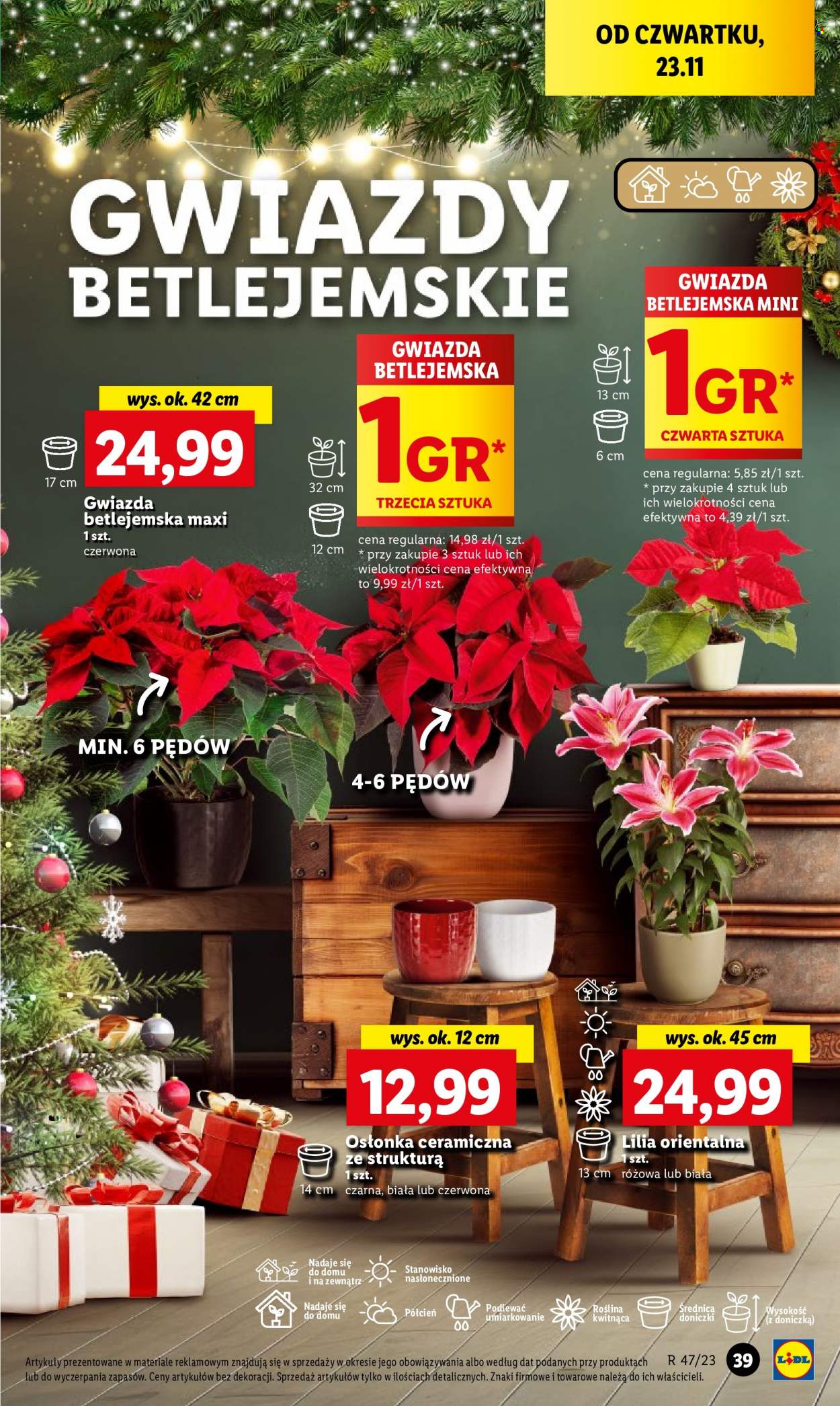 Gazetka Lidl - 23.11.2023 - 25.11.2023. Strona 55
