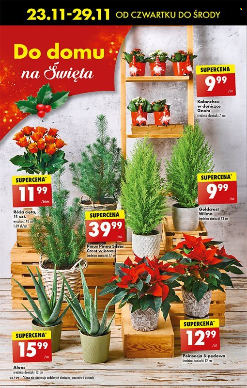 Gazetka Biedronka - 23.11.2023 - 29.11.2023. Strona 28