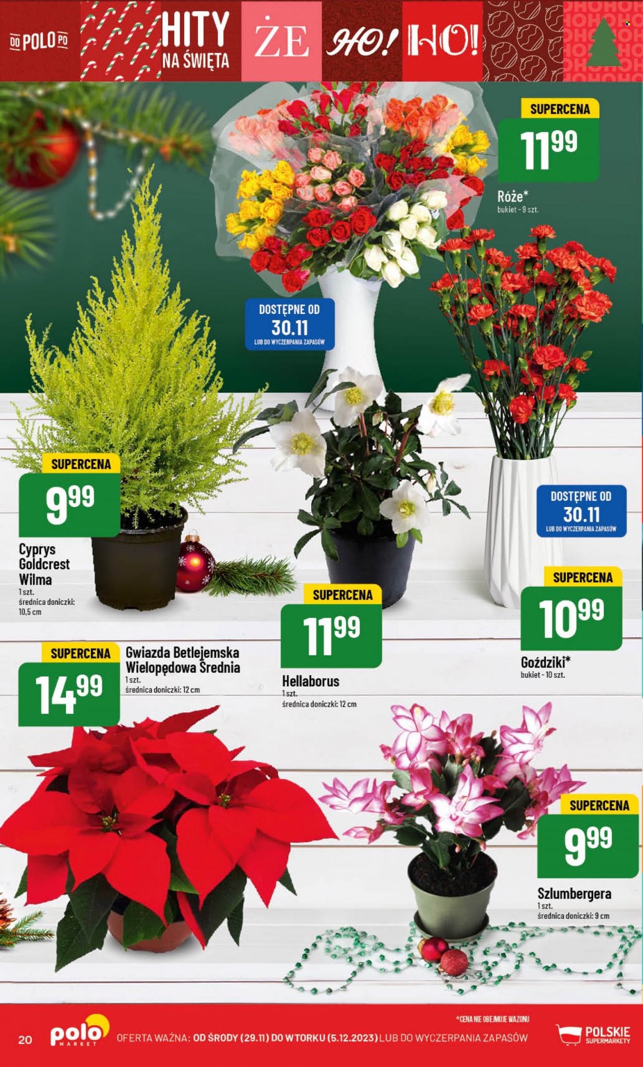 Gazetka Polomarket - 29.11.2023 - 5.12.2023. Strona 20