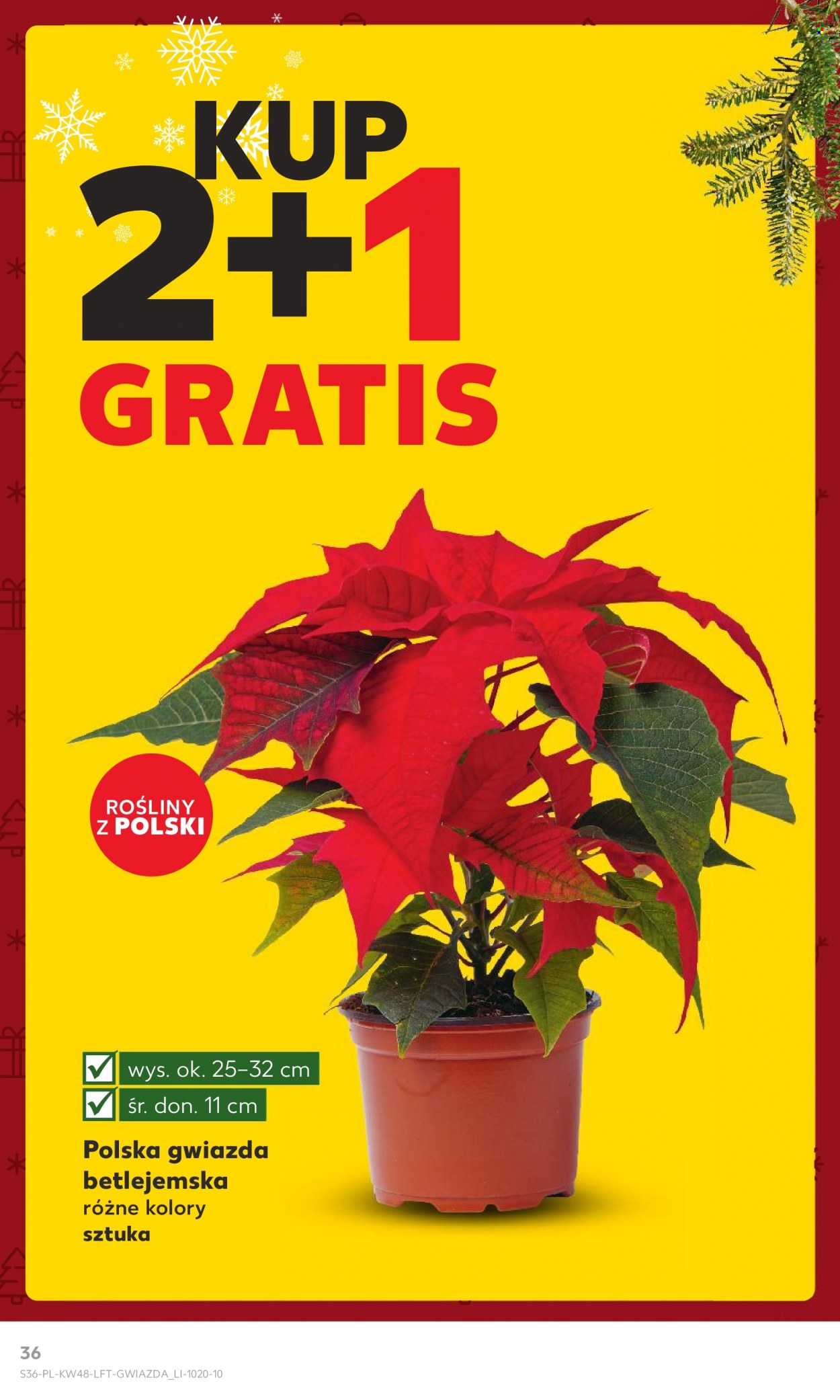 Gazetka Kaufland - 30.11.2023 - 6.12.2023. Strona 36