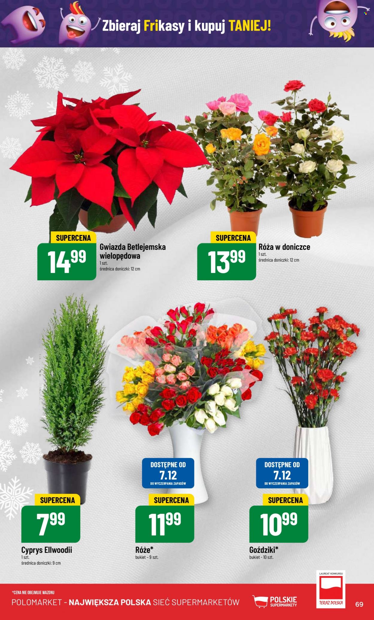 Gazetka Polomarket - 6.12.2023 - 12.12.2023. Strona 69
