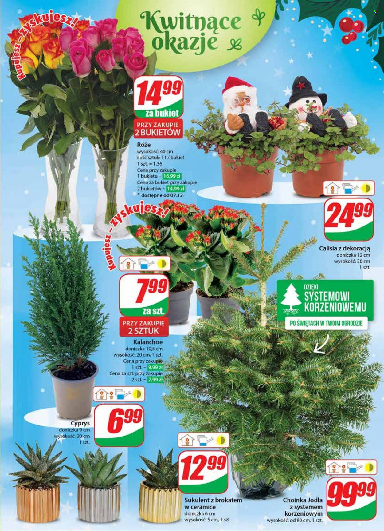 Gazetka Dino - 6.12.2023 - 12.12.2023. Strona 21