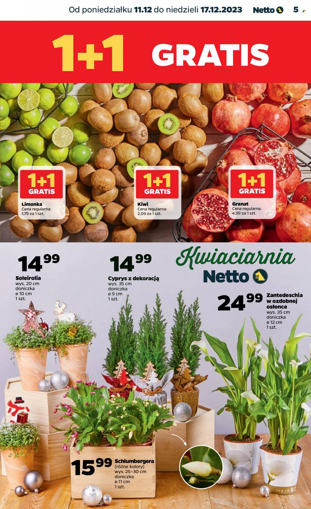 Gazetka Netto - 11.12.2023 - 17.12.2023. Strona 5
