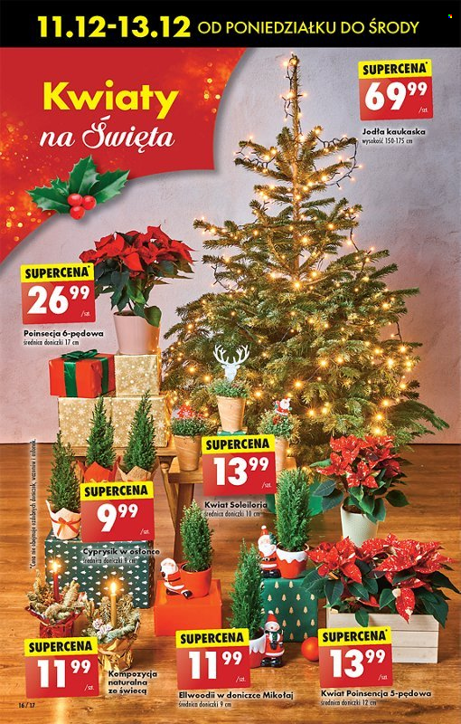 Gazetka Biedronka - 11.12.2023 - 17.12.2023. Strona 16