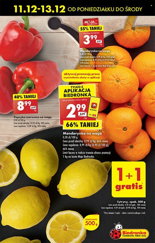 Gazetka Biedronka - 11.12.2023 - 17.12.2023. Strona 19