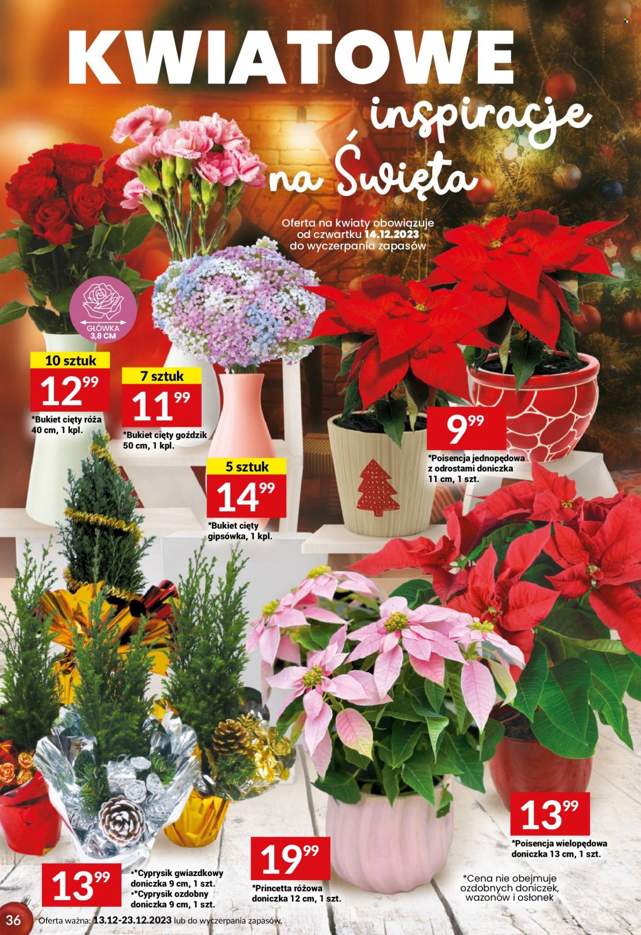 Gazetka Twój Market - 13.12.2023 - 23.12.2023. Strona 36