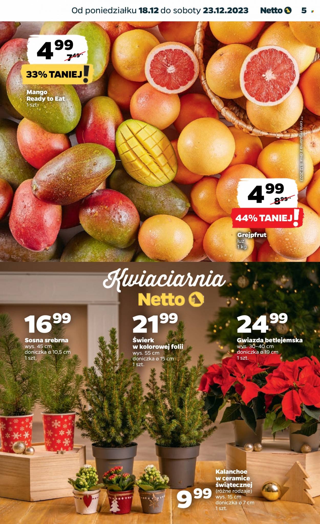 Gazetka Netto - 18.12.2023 - 23.12.2023. Strona 5